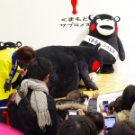 kumamon_sirabee_24