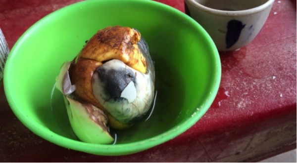 ブームの予感 定番のハロハロから 孵化する前の卵 まで フィリピン料理の魅力に迫る ニュースサイトしらべぇ