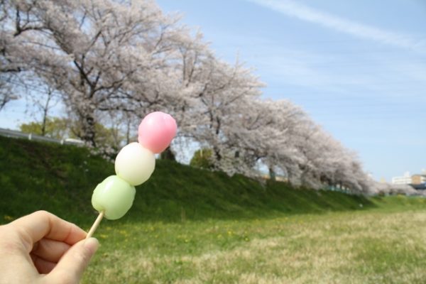 しらべぇ0327花見