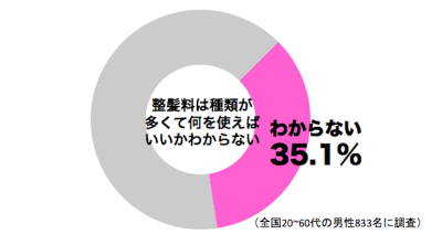 sirabee0616seihaturyousaishin