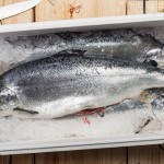 whole salmons lying on ice