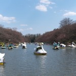 sirabee0707inokasira