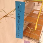 sirabee0707tanabata3-1