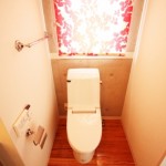 sirabee0817toilet2