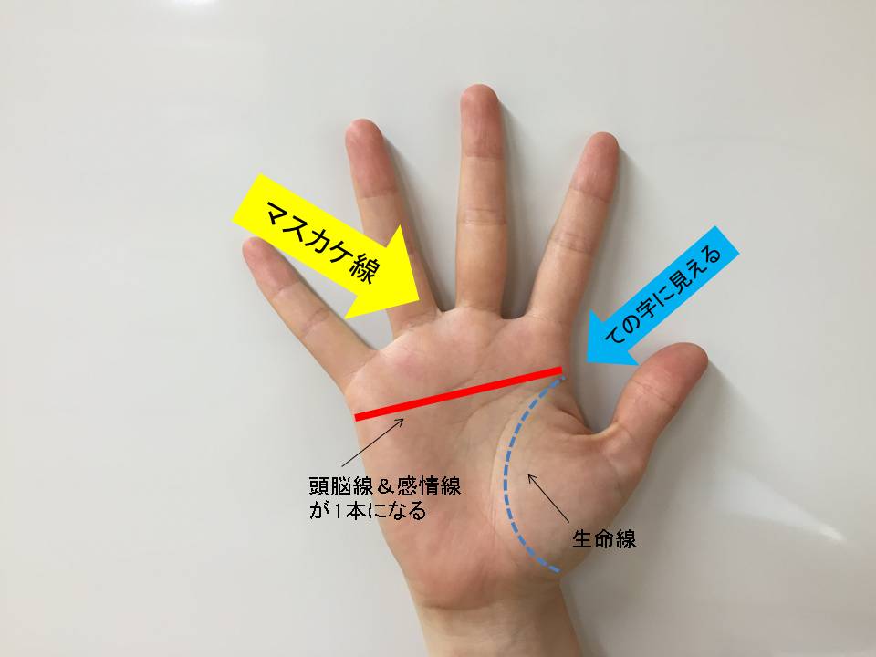 この手相があれば天才の証 3つの天才手相 マスカケ ハオウ線 天下筋 ニュースサイトしらべぇ