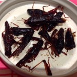 sirabee0917natsuaki011