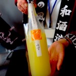 sirabee1005sake004