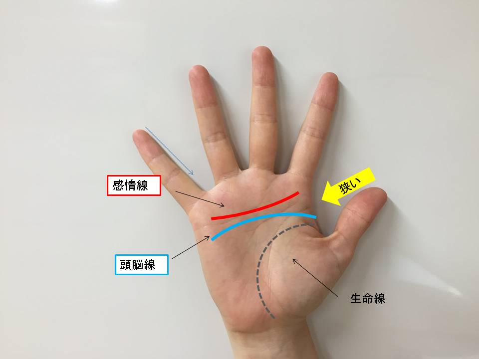 手相診断 感情線と頭脳線の間を見れば分かる恋のパターン ニュースサイトしらべぇ