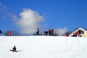 富士山のふもとでそり遊び！遊園地『ぐりんぱ』が楽しい