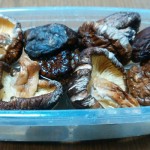 sirabee0102shiitake4