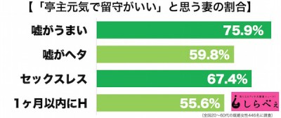 亭主元気で留守がいい2