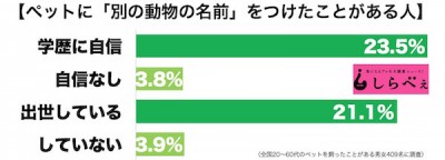 ペットの名前2