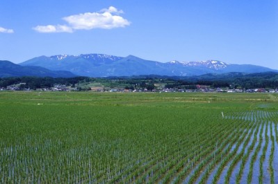 真田丸