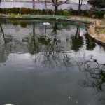浮間公園6