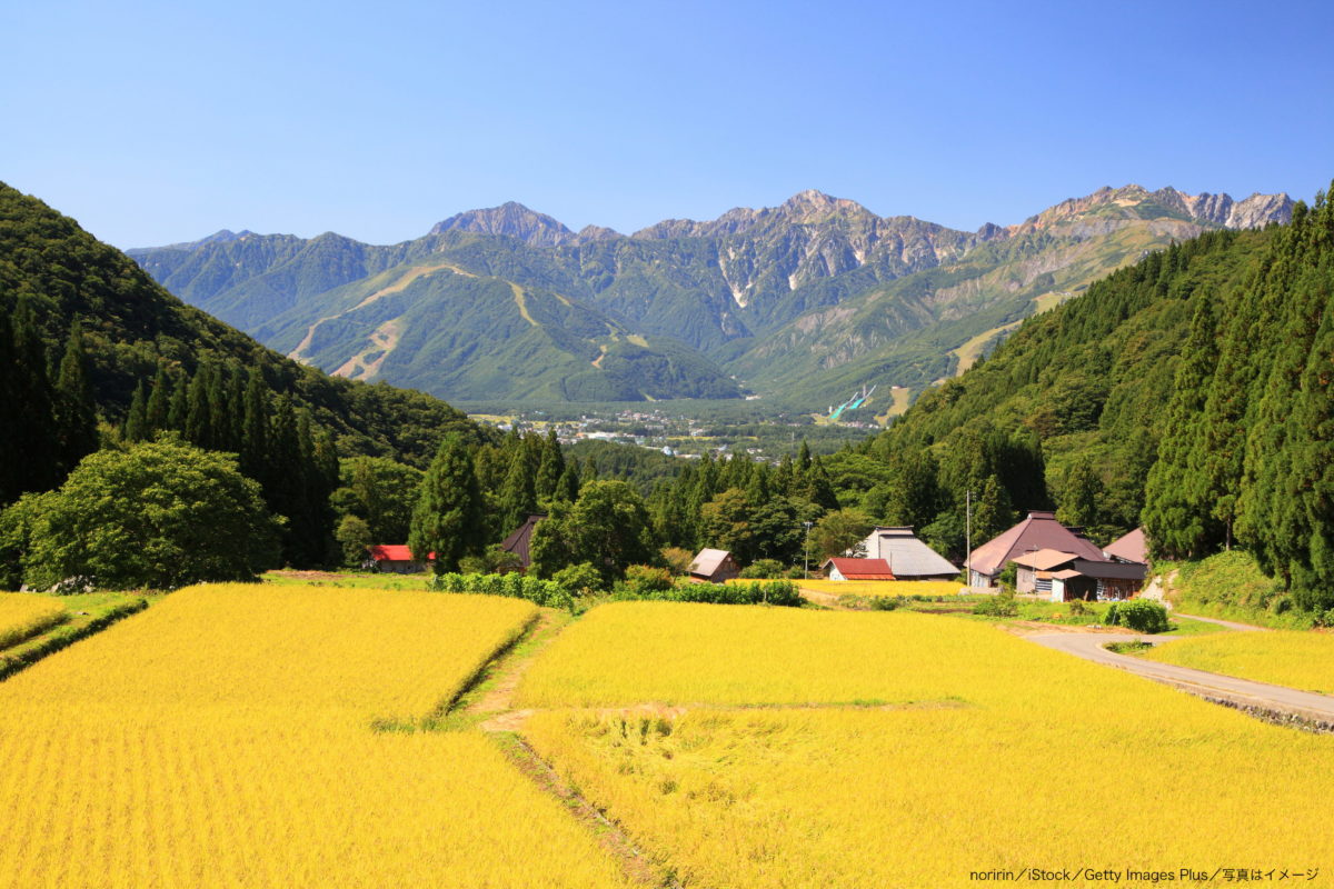 田舎