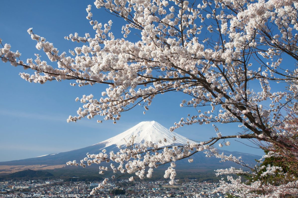 富士山