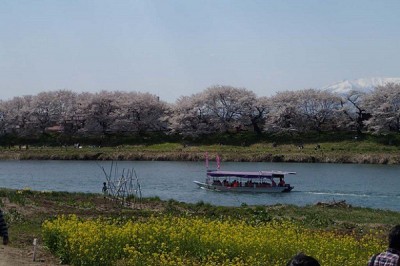 千本桜