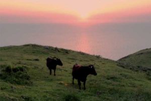 オフシーズンの絶景！隠岐・西ノ島に「夕日のろうそく」