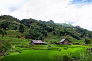 Rice fields in Sapa village, Vietnam.