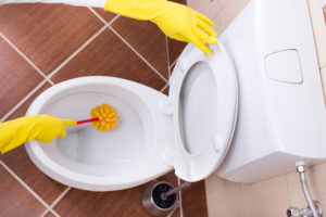 トイレの尿石・洗浄ノズル…年末の「掃除のこし」をなくすテク3選