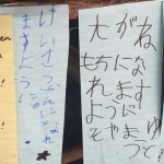 sirabee160701tannzaku01
