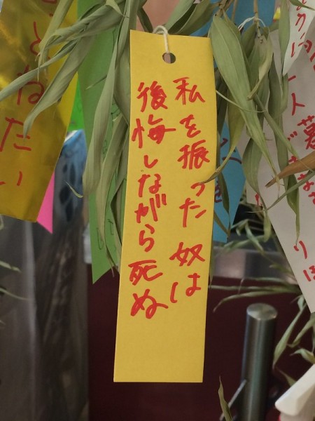 sirabee160701tannzaku011