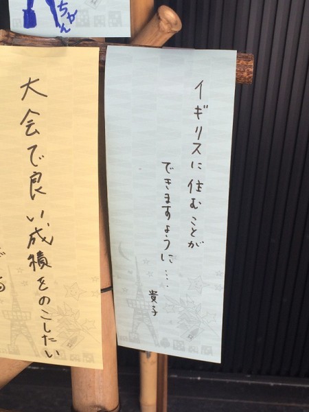 sirabee160701tannzaku05