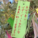 sirabee160701tannzaku08