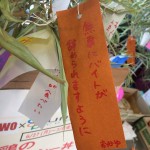 sirabee160701tannzaku10