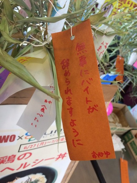 sirabee160701tannzaku10