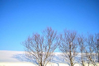 北海道の冬