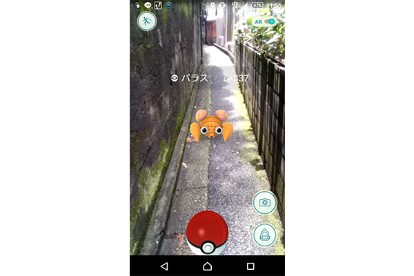 sirabee0816pokego6