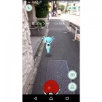 sirabee0816pokego8