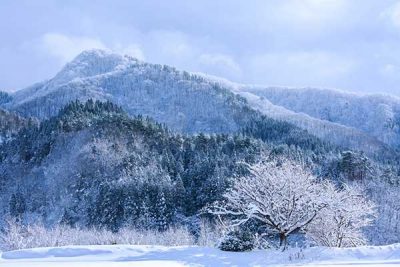 雪景色