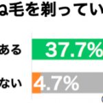 sirabee20160907sunege3