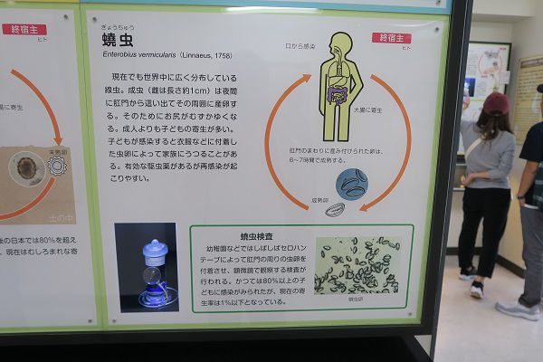 sirabee161011mKm (3)_compressed