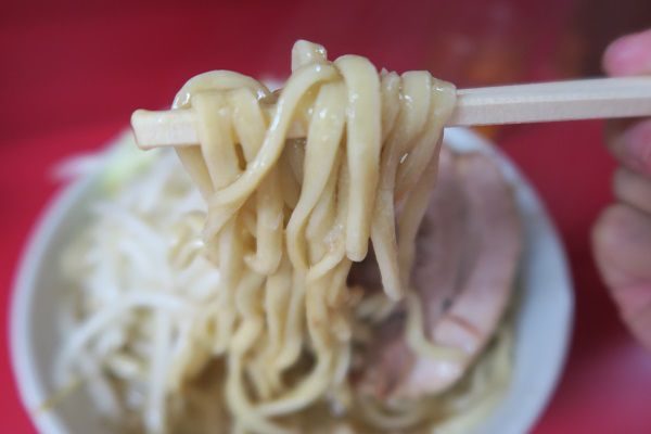 sirabee161017 (3)_compressed