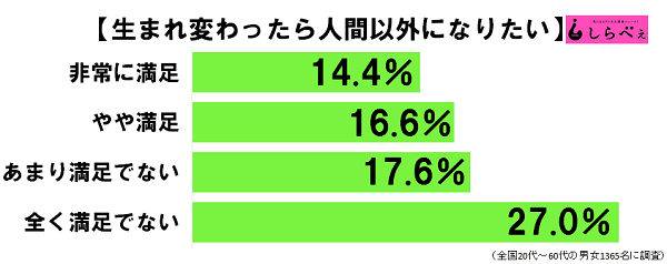 sirabee20161019umare2