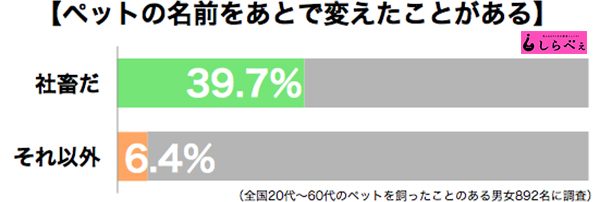 sirabee20161020pet2