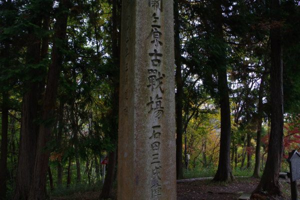 sirabee161114ishida1