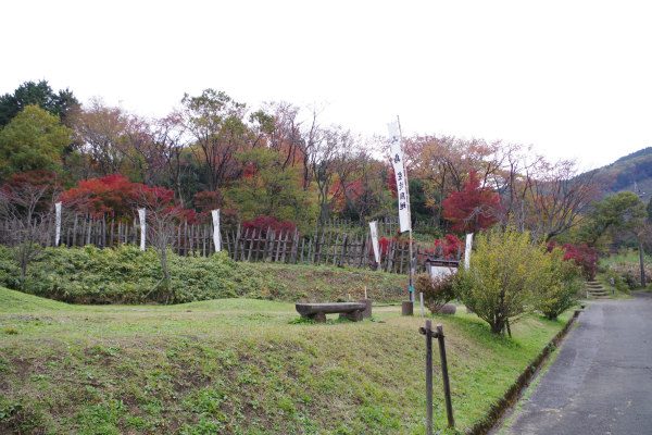 sirabee161114ishida4