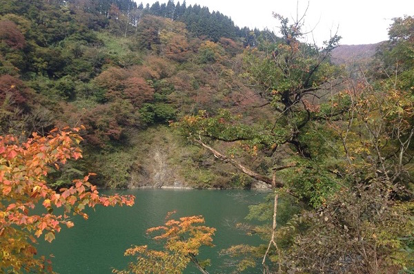 秋の風情漂う名スポット 京都だけじゃない紅葉の名所3選 Sirabeekouyou00