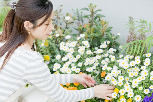 sirabee20161125gardening1