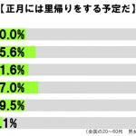 sirabee20161230kiseirush2