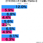 sirabee_161202_wakiga2