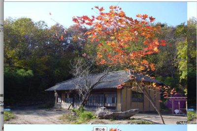 DASH村