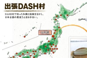 影響力凄すぎ！『鉄腕DASH』に登場のネギカッターが注文殺到で売切