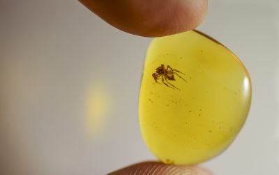 琥珀