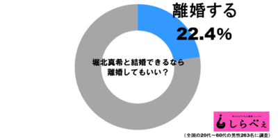 堀北真希グラフ1