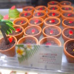 sirabee20170501ookiakiko015